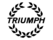 Бренд Triumph